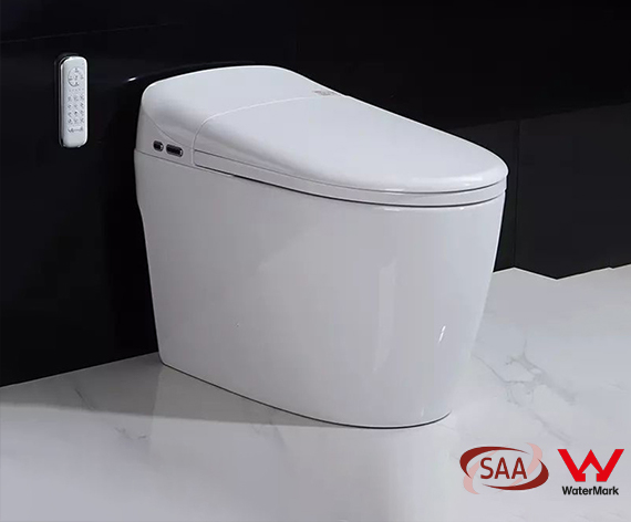 Tankless Smart Toilet